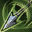 L2 Dead Eye